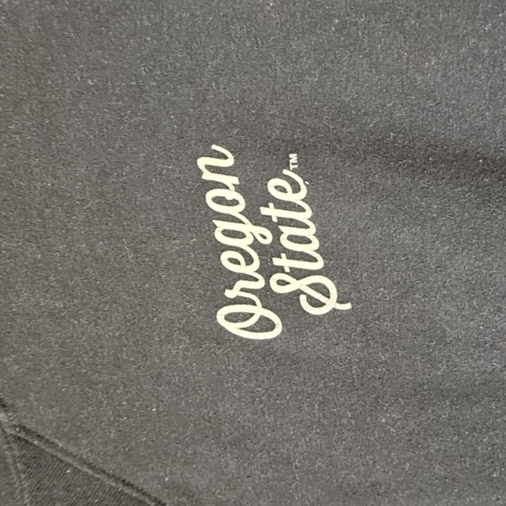 ✨️3/$20 ✨️Jansport‎ Oregon state tunic - Picture 4 of 5